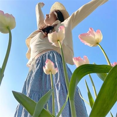 野·良犬粤语